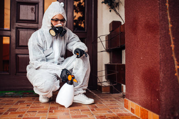 Reliable Wasp Removal contractor in West Modesto, CA by Show Me Pest Control